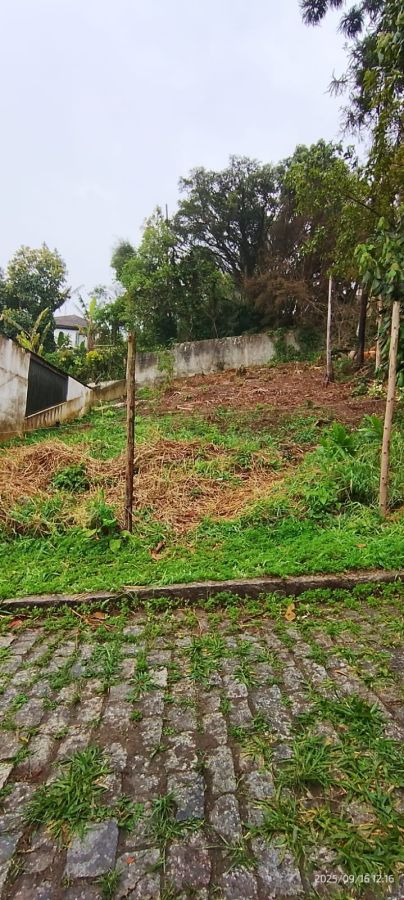 Terreno - Venda - Centro Alto - Ribeiro Pires - SP